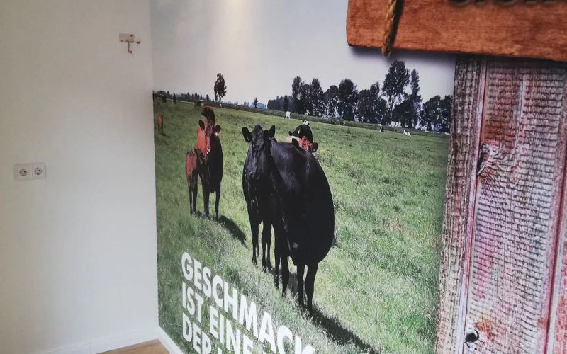Maler und Lackiererarbeiten